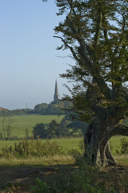 Church from Hylands Park