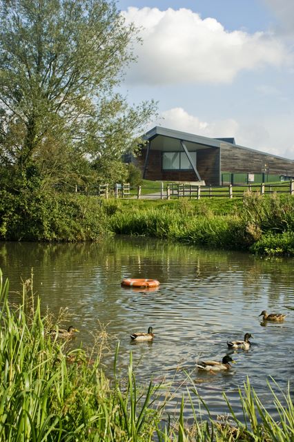 Pond and School