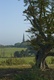 Church from Hylands Park