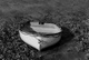 Row, Row