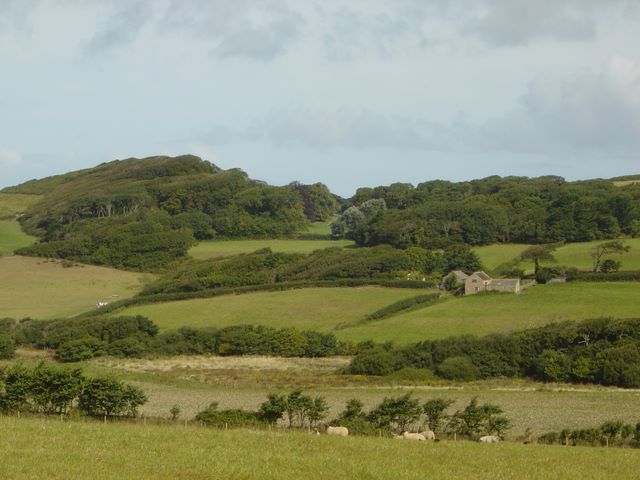 Fields - Abbotsham 2005