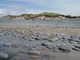 Pebbles and Dunes - Devon 2004