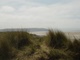 Westward Ho! - 2004