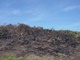 Bush Fire - Devon 2004