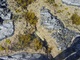 Rock Pool - Devon 2004