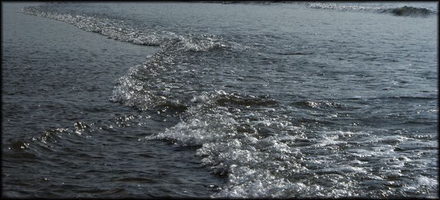 Sunlit Wave