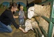 Feeding time
