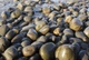 Rocks in sun and shadow