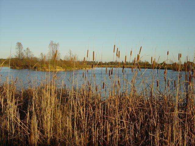 Bocking - Nov 2004