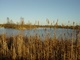 Bocking - Nov 2004