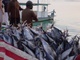 Fish!