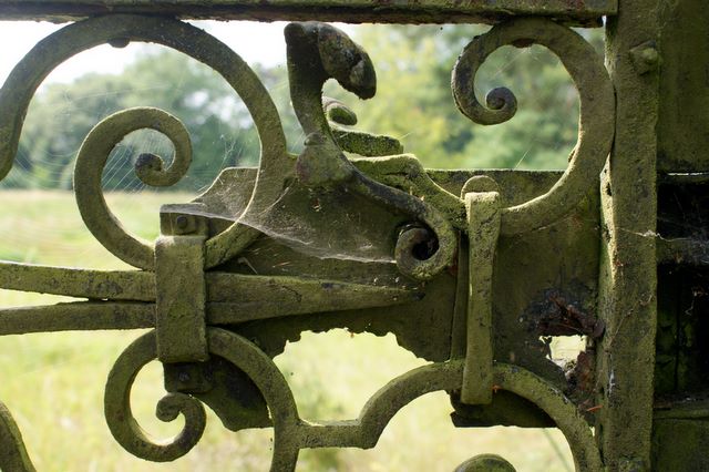 Rust & Web
