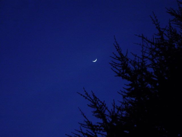 New Moon
