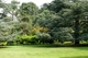Greens