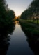Chelmer Sunset