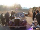 The Car